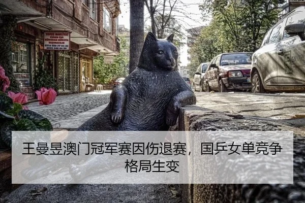 wang-man-yu-ao-men-guan-jun-sai-yin-shang-tui-sai-guo-ping-nv-dan-jing-zheng-ge-ju-sheng-bian-2-742.jpg