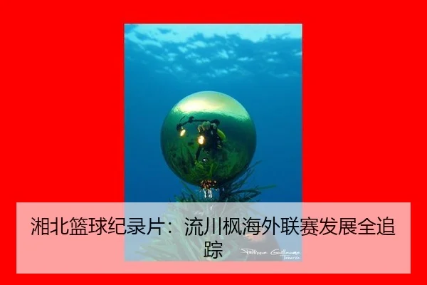 湘北篮球纪录片：流川枫海外联赛发展全追踪