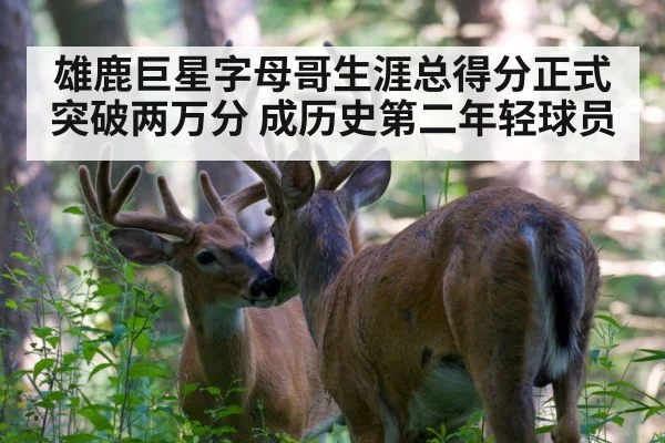 雄鹿巨星字母哥生涯总得分正式突破两万分 成历史第二年轻球员